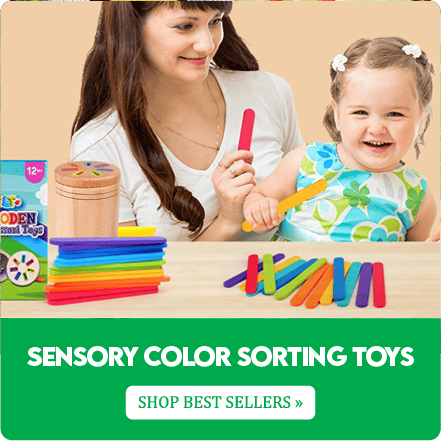 SENSORY COLOR SORTING TOYS